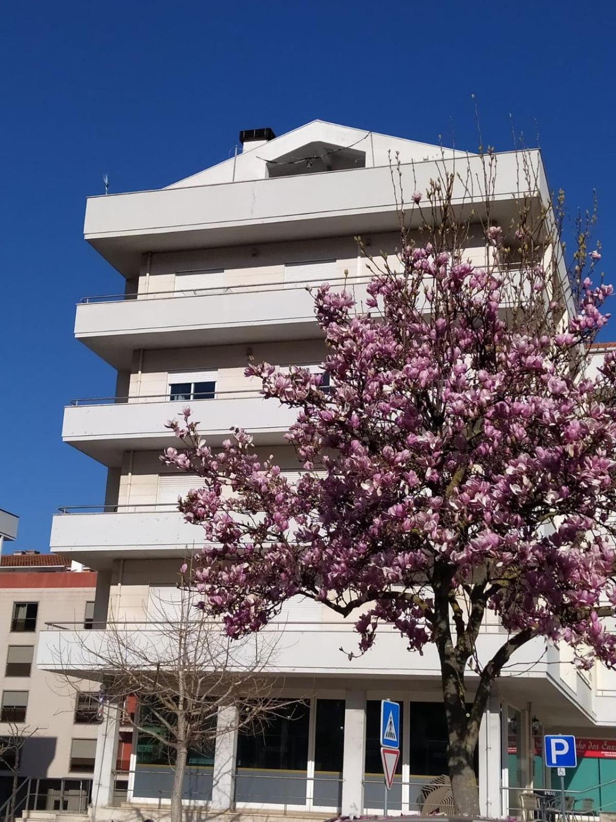 Lousa Varandas House 외부 사진